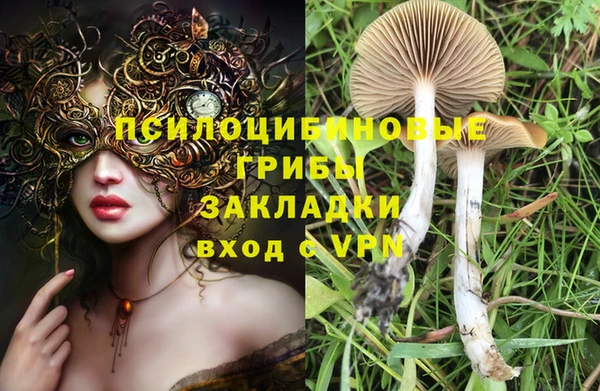 дживик Алексеевка