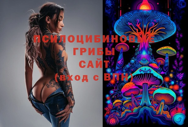 тгк Абаза